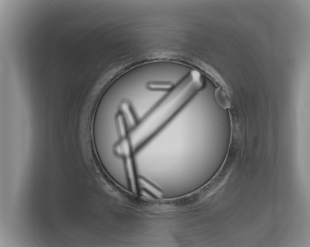 X0000113870577200909241008