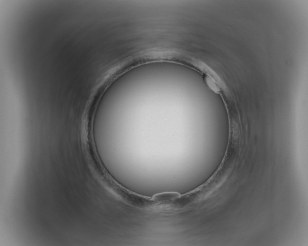 X0000113870581200909241008