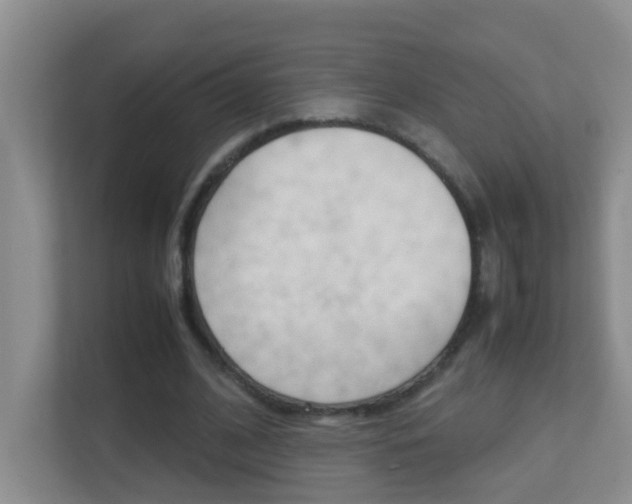 X0000113870584200909241008
