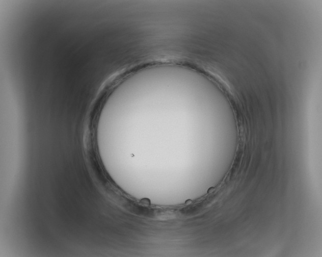 X0000113870587200909241008