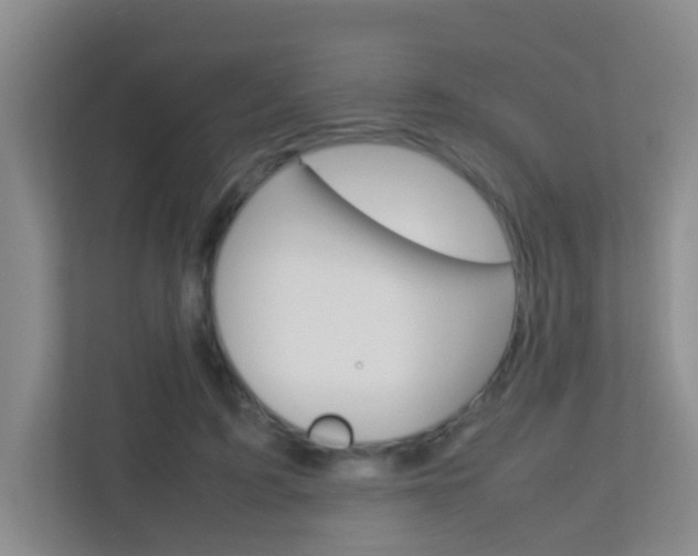 X0000113870595200909241008