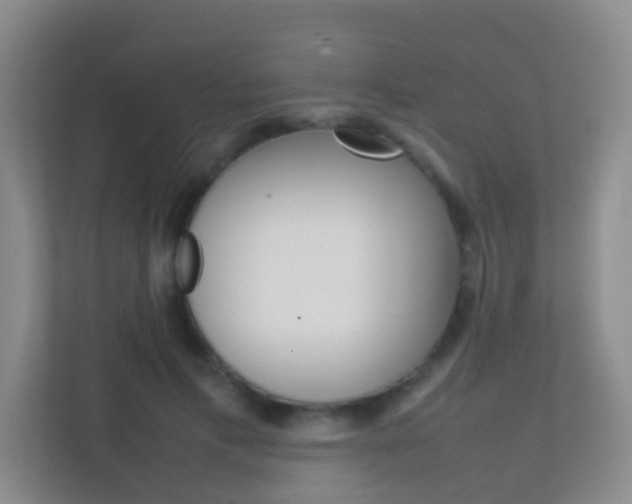 X0000113870597200909241008