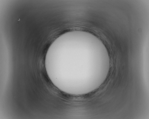 X0000113870599200909241008