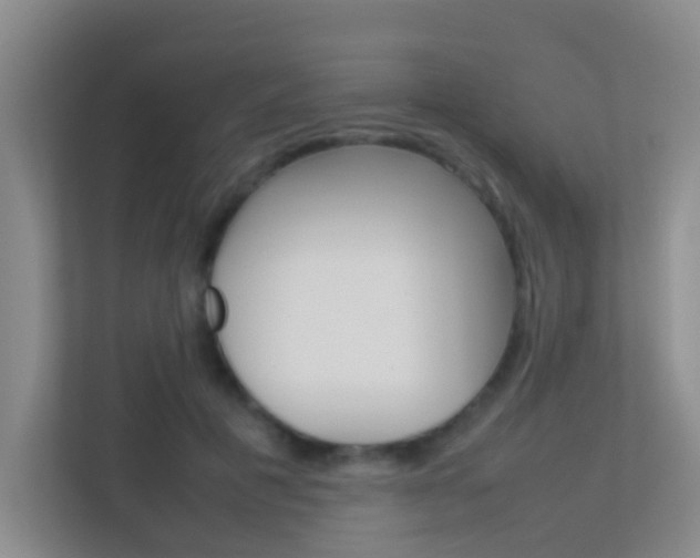 X0000113870601200909241008