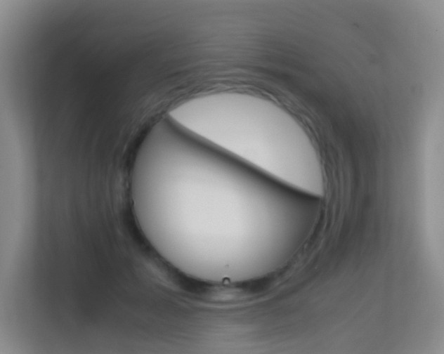X0000113870605200909241007