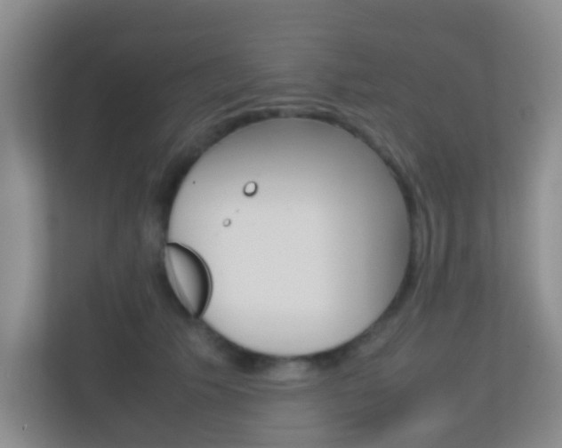 X0000113870609200909241007