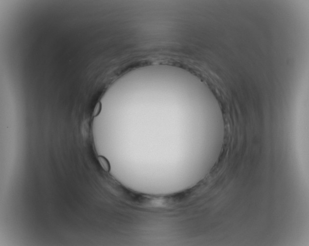 X0000113870611200909241007