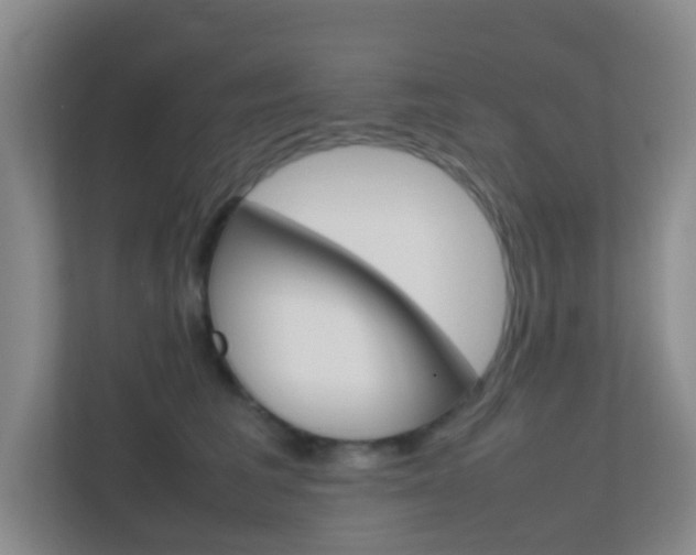 X0000113870613200909241007