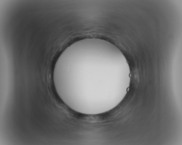 X0000113870615200909241007