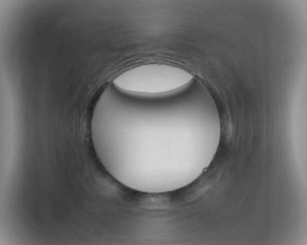 X0000113870619200909241007