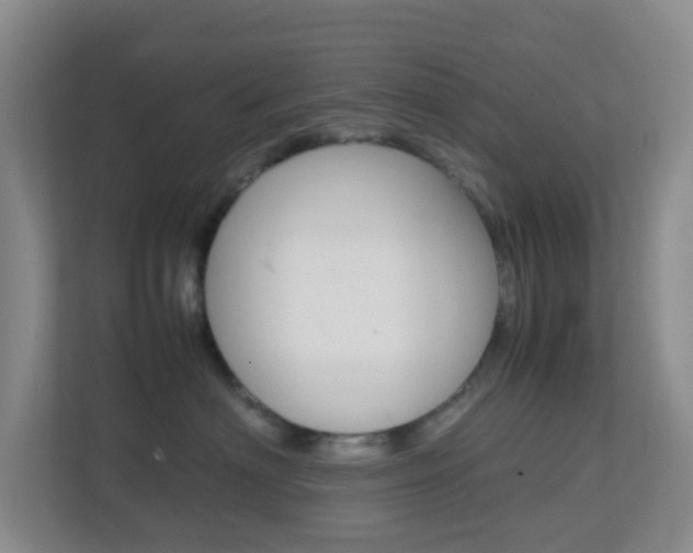 X0000113870622200909241007