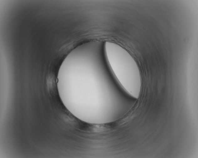 X0000113870623200909241007