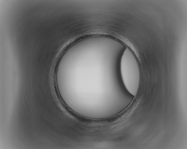 X0000113870625200909241007