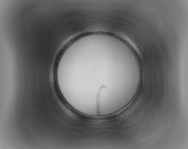 X0000113870629200909241007