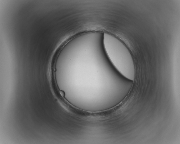 X0000113870630200909241007