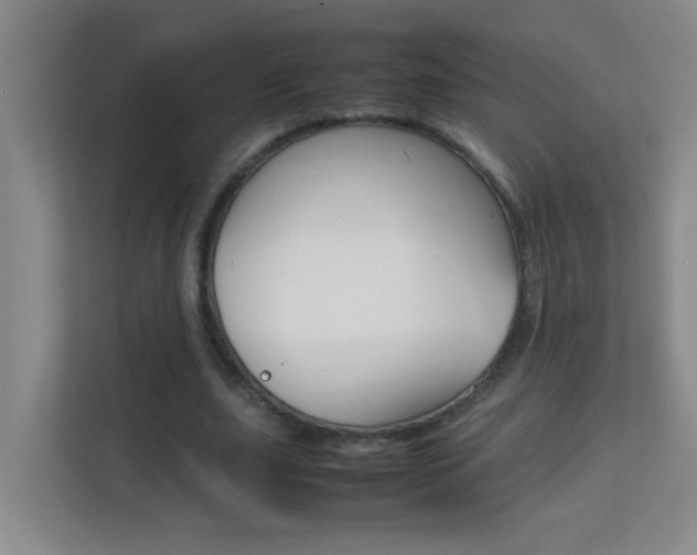 X0000113870631200909241007