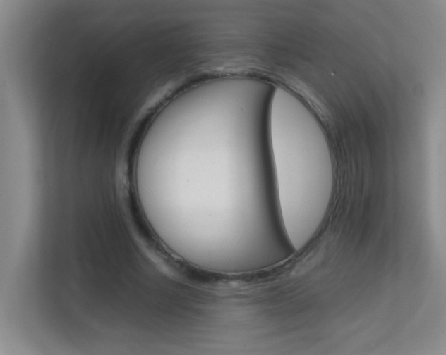 X0000113870634200909241007