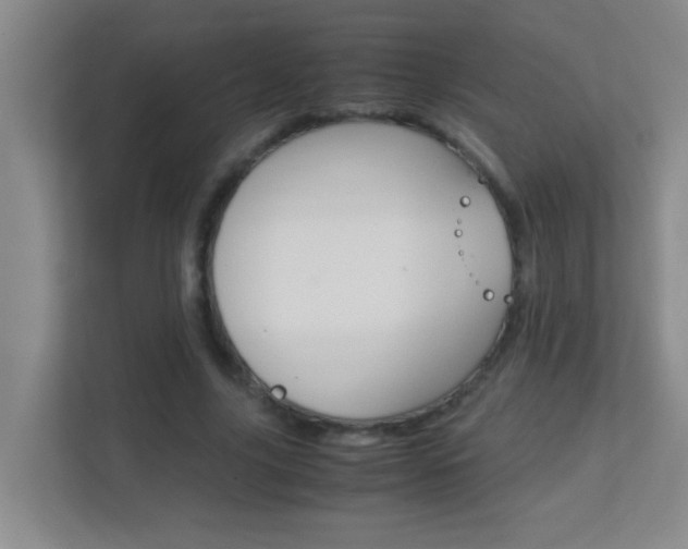 X0000113870635200909241007
