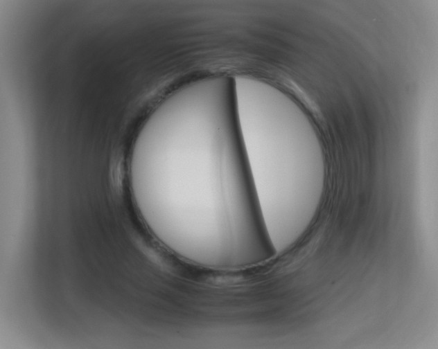X0000113870637200909241007
