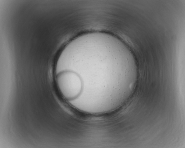 X0000113870638200909241007