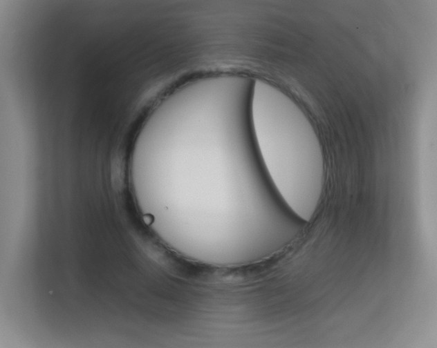 X0000113870640200909241007