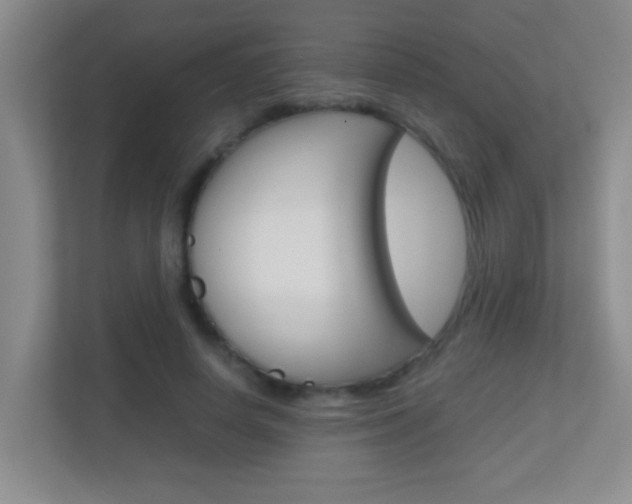 X0000113870642200909241007