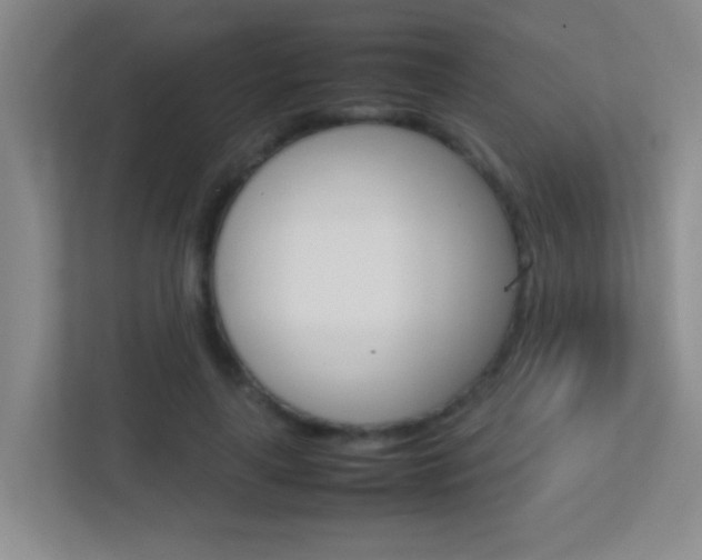 X0000113870643200909241007