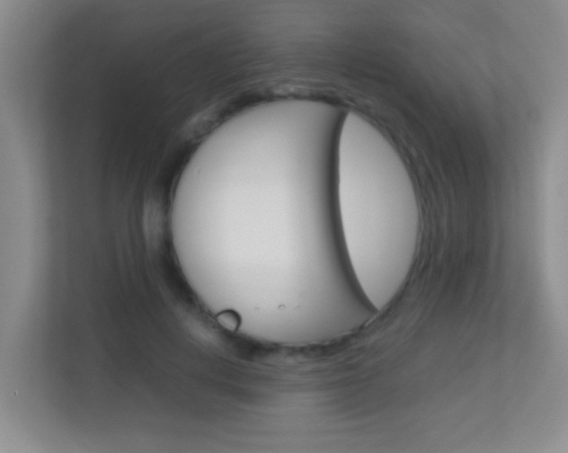 X0000113870648200909241007
