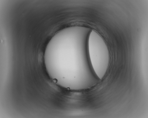 X0000113870649200909241007
