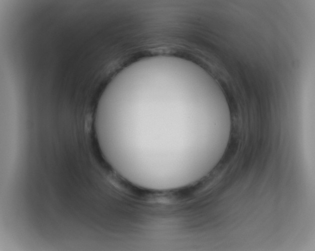 X0000113870652200909241007