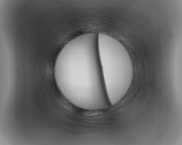 X0000113870661200909241007