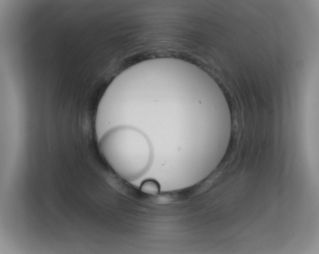 X0000113870662200909241007