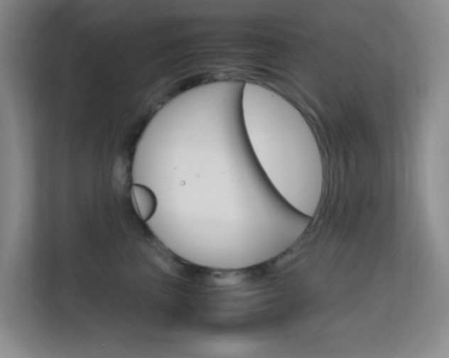 X0000113870667200909241007