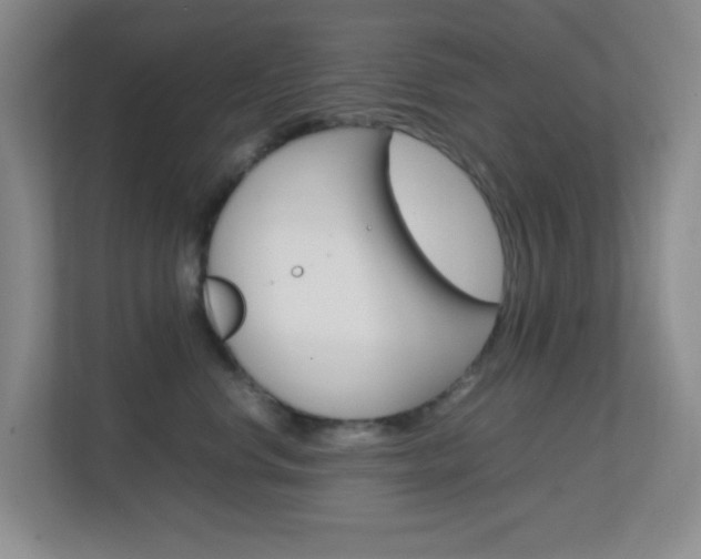 X0000113870668200909241007