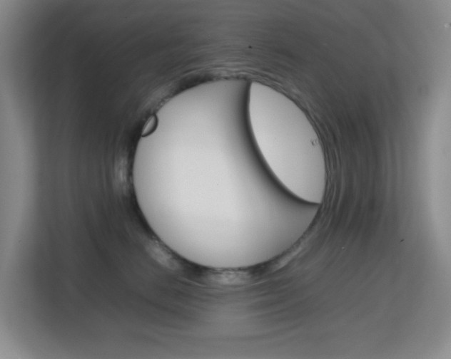 X0000113870670200909241007