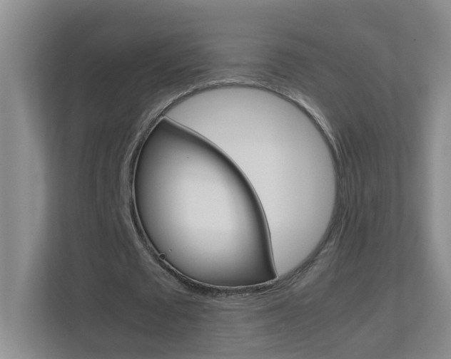 X0000113870673200909241007