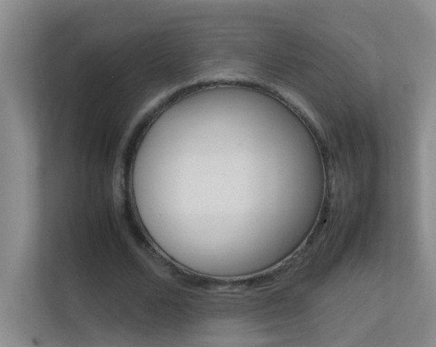 X0000113870680200909241007