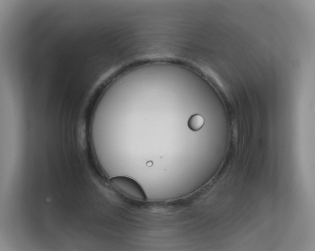 X0000113870684200909241006