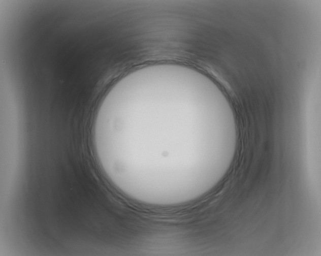 X0000113870685200909241006