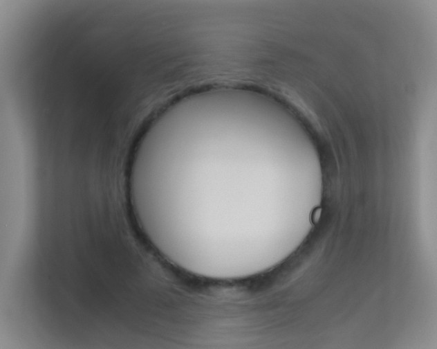 X0000113870689200909241006