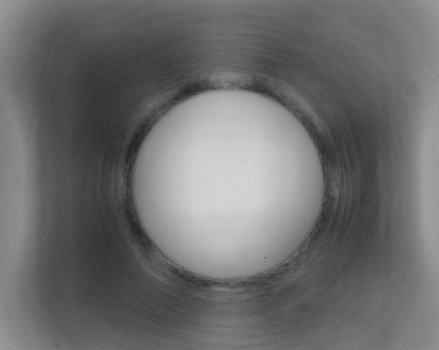 X0000113870690200909241006