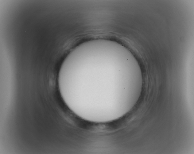 X0000113870695200909241006