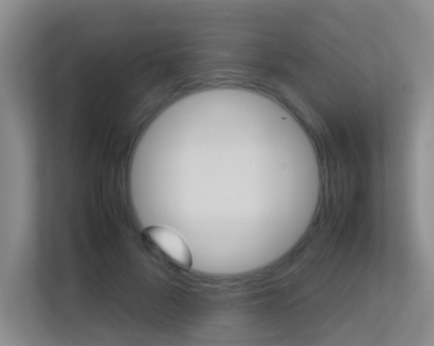 X0000113870696200909241006
