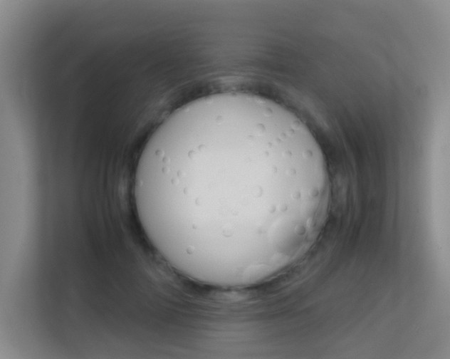 X0000113870698200909241006