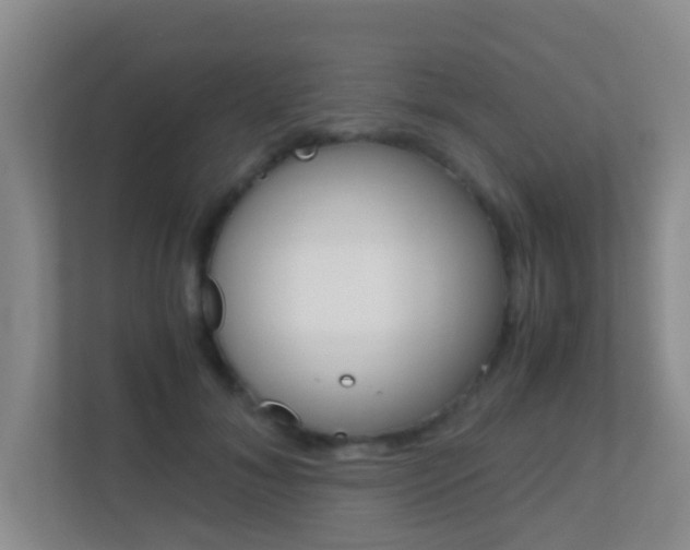 X0000113870700200909241006