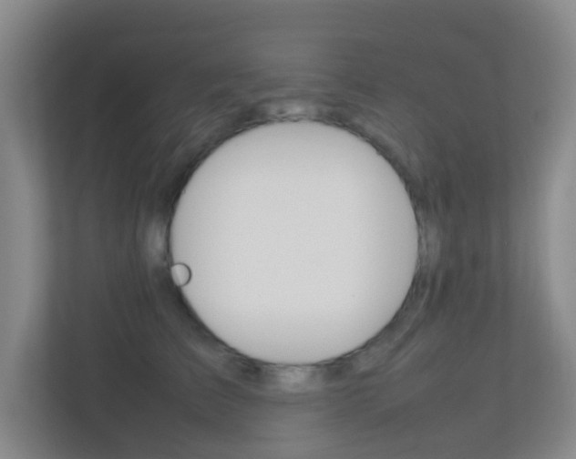 X0000113870709200909241006