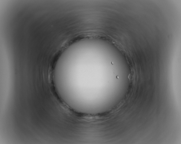 X0000113870712200909241006