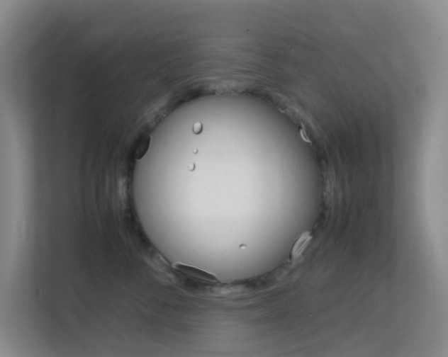 X0000113870716200909241006