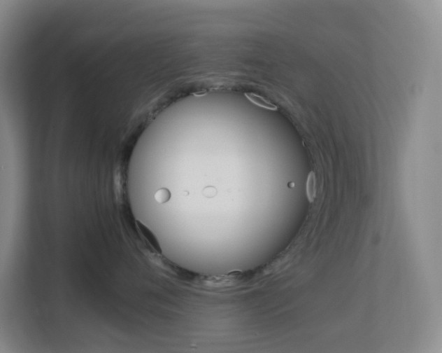X0000113870720200909241006
