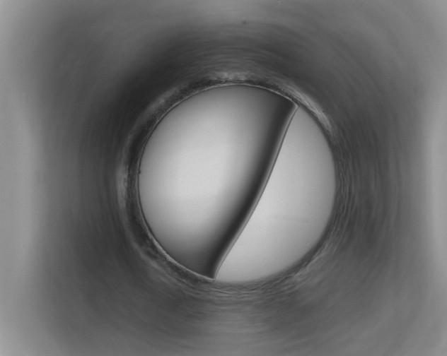 X0000113870722200909241005